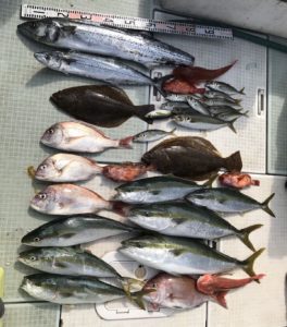 さぶろう丸 釣果