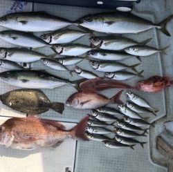 さぶろう丸 釣果