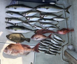 さぶろう丸 釣果