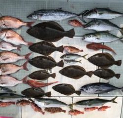 さぶろう丸 釣果