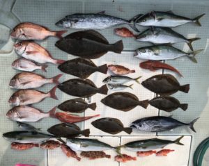 さぶろう丸 釣果