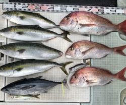 さぶろう丸 釣果