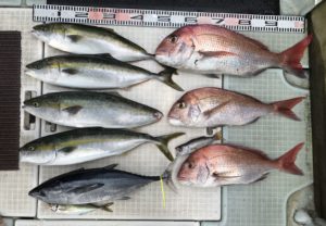 さぶろう丸 釣果