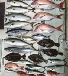 さぶろう丸 釣果