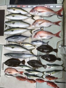 さぶろう丸 釣果