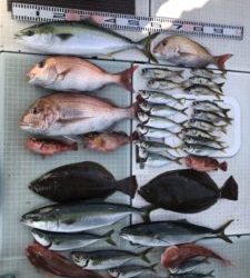 さぶろう丸 釣果