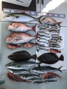 さぶろう丸 釣果