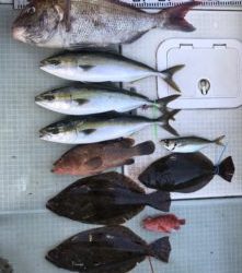 さぶろう丸 釣果