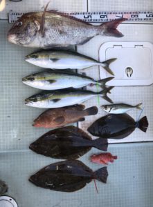 さぶろう丸 釣果