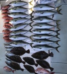 さぶろう丸 釣果