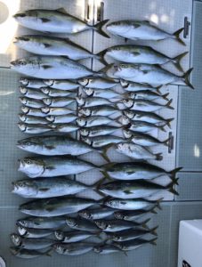 さぶろう丸 釣果