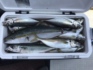 さぶろう丸 釣果