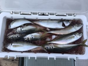 さぶろう丸 釣果