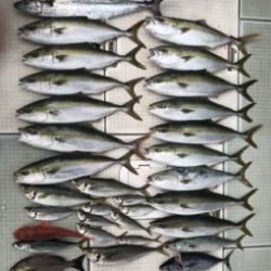 さぶろう丸 釣果