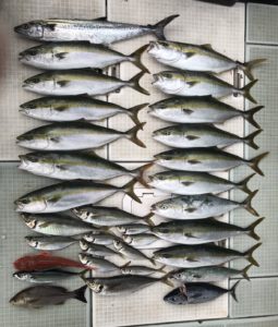 さぶろう丸 釣果