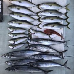 さぶろう丸 釣果