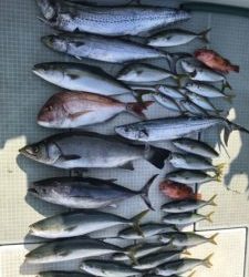 さぶろう丸 釣果