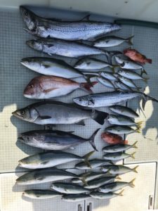 さぶろう丸 釣果