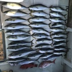 さぶろう丸 釣果