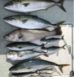 さぶろう丸 釣果