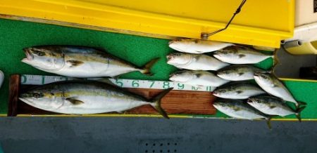 火遠理丸(ほおりまる) 釣果