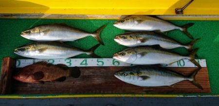 火遠理丸(ほおりまる) 釣果