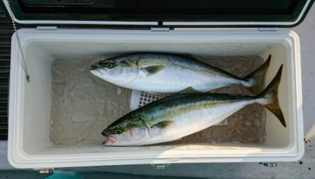 火遠理丸(ほおりまる) 釣果