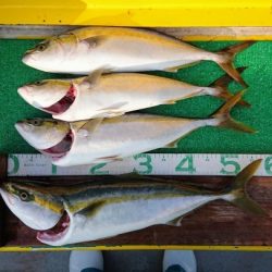 火遠理丸(ほおりまる) 釣果