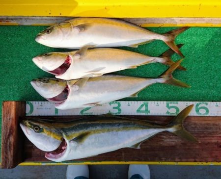 火遠理丸(ほおりまる) 釣果