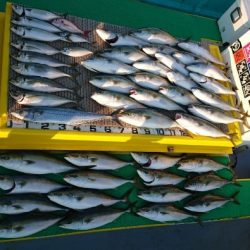 火遠理丸(ほおりまる) 釣果