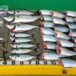 火遠理丸(ほおりまる) 釣果