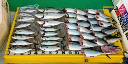 火遠理丸(ほおりまる) 釣果