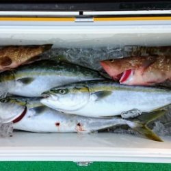 火遠理丸(ほおりまる) 釣果