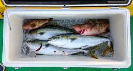 火遠理丸(ほおりまる) 釣果