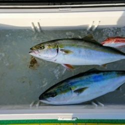 火遠理丸(ほおりまる) 釣果