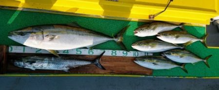 火遠理丸（ほおりまる） 釣果