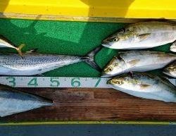 火遠理丸(ほおりまる) 釣果