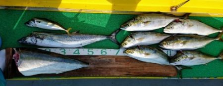 火遠理丸(ほおりまる) 釣果