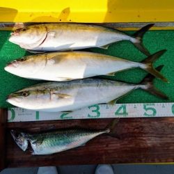 火遠理丸(ほおりまる) 釣果