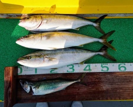 火遠理丸(ほおりまる) 釣果