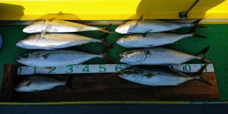 火遠理丸(ほおりまる) 釣果