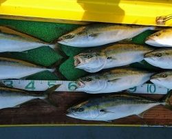 火遠理丸(ほおりまる) 釣果