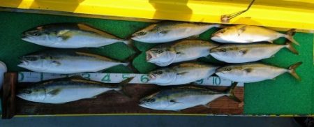 火遠理丸(ほおりまる) 釣果