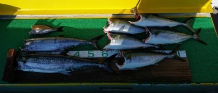 火遠理丸(ほおりまる) 釣果