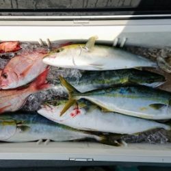 火遠理丸（ほおりまる） 釣果