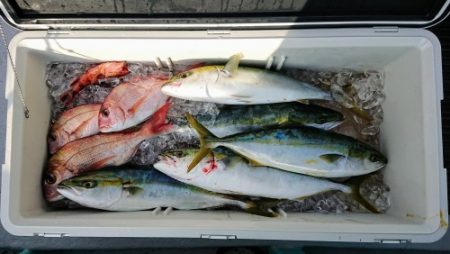 火遠理丸（ほおりまる） 釣果