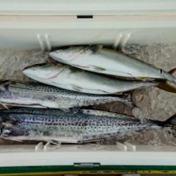 火遠理丸（ほおりまる） 釣果