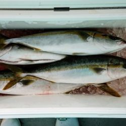 火遠理丸（ほおりまる） 釣果