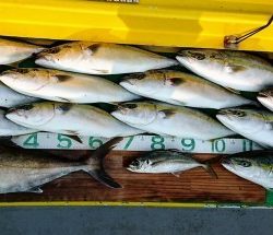 火遠理丸(ほおりまる) 釣果