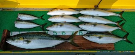 火遠理丸(ほおりまる) 釣果